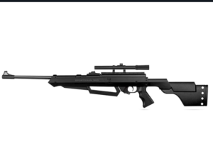 what is the best air rifle for hunting