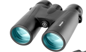 best binoculars for whale watching from land