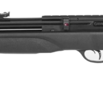 best air rifle for rats and rabbits
